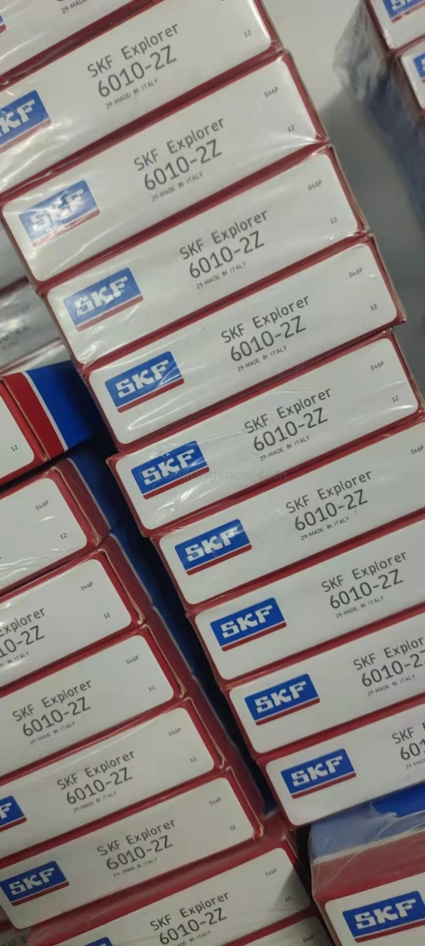 SKF 6010-2Z