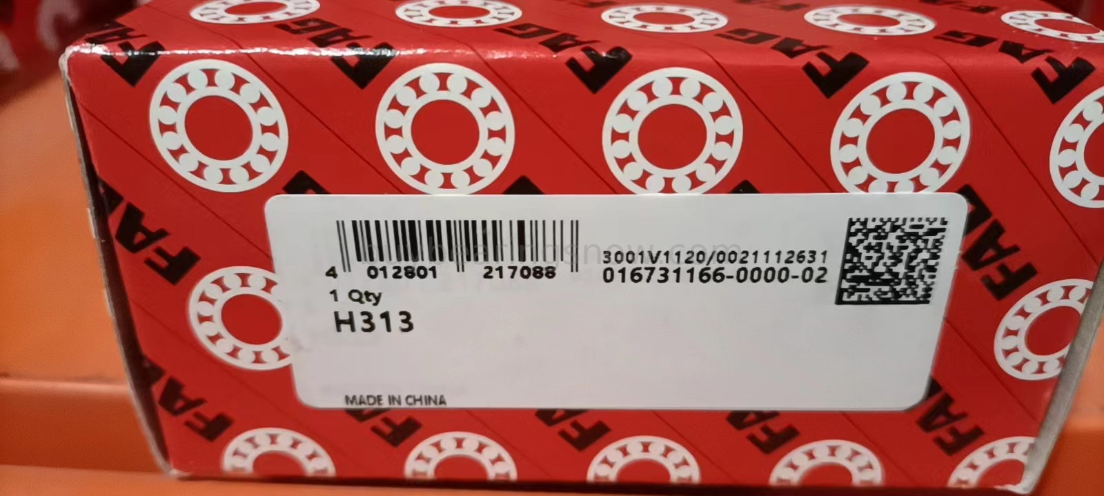 FAG H313